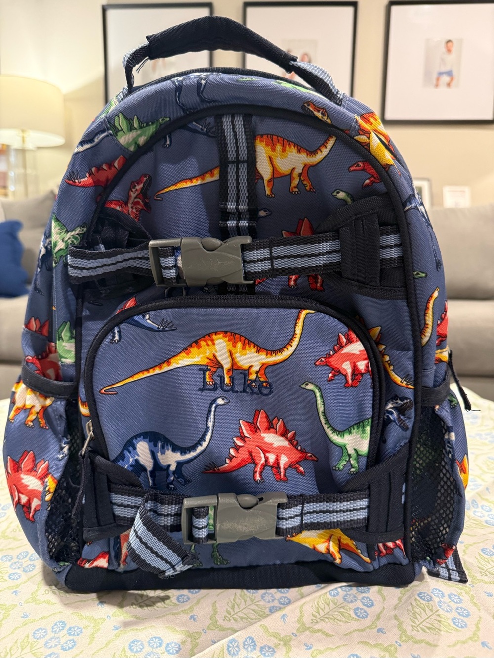 Pottery Barn toddler Dinosaur Print Backpack - Blue